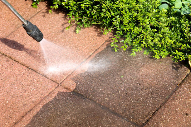 Best Roof Pressure Washing  in Jerome, IL